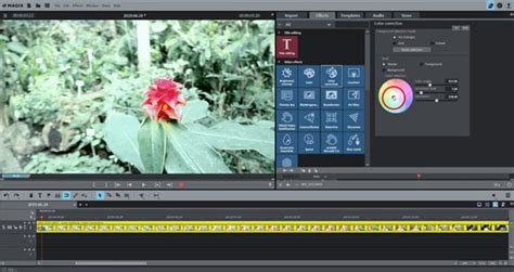 How to Edit Audio in Magix Video Editor